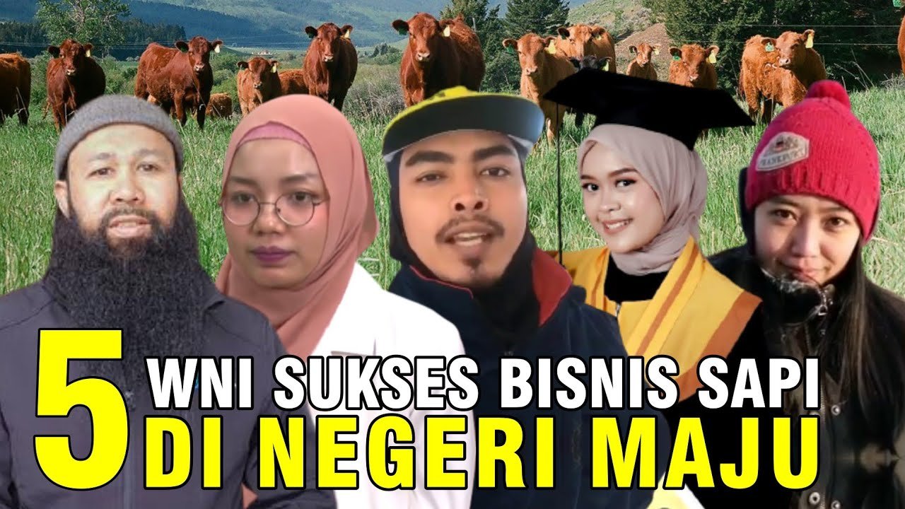
                                 WNI-Sukses-Beternak-Sapi-Di-Negara-Maju